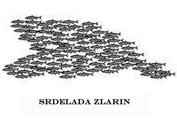 Održana srdelada na Zlarinu