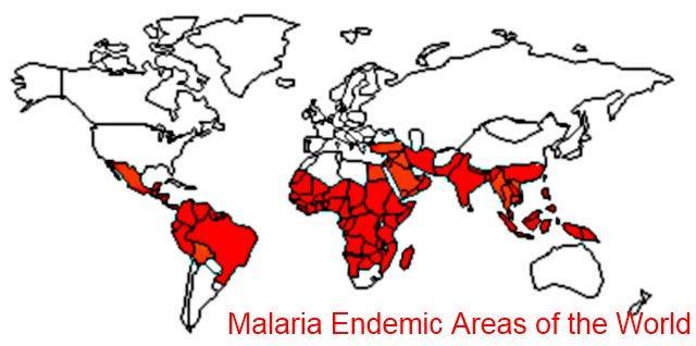 Svjetski dan malarije