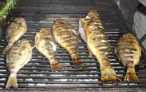 Odgađa se ribarska fešta