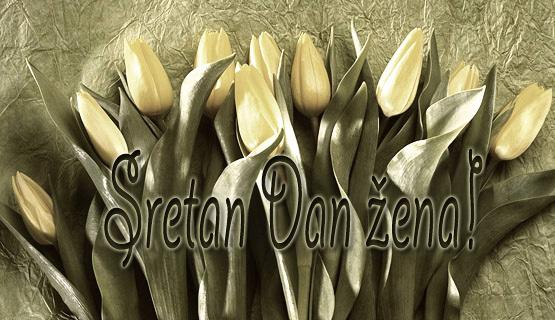 Svim sugrađankama Sretan Dan Žena