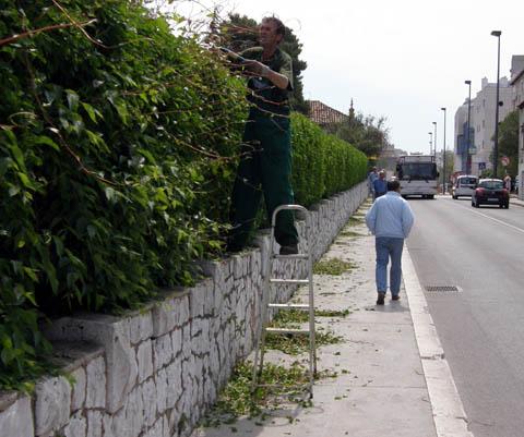  Uređenje i održavanje zelenih površina