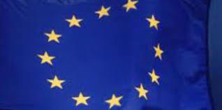 Odobrena sredstva za financiranje projekta „FiT for Europe '14 – First-Time- Voters for Europe '14“