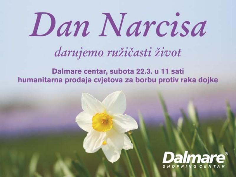 Dan narcisa – dan posvećen oboljelima od raka dojke