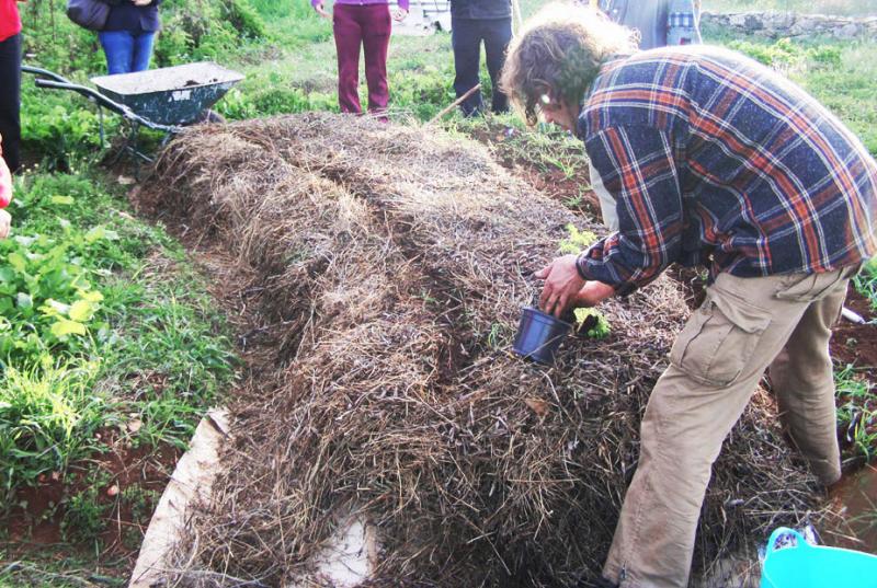 Permakultura se vraća na Zlarin