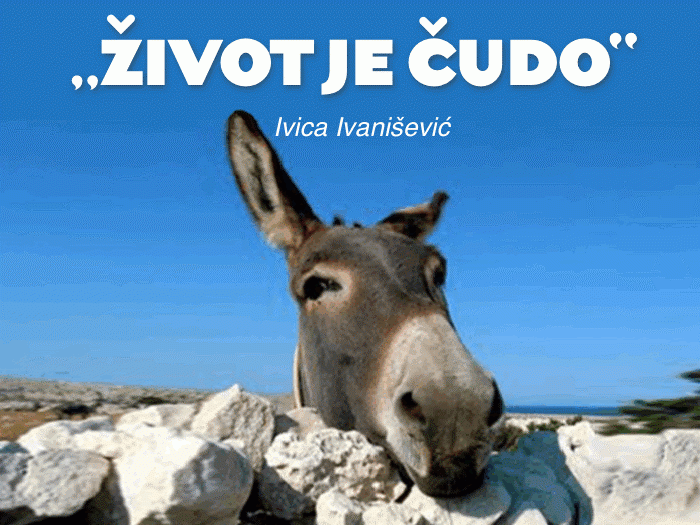 Život je čudo