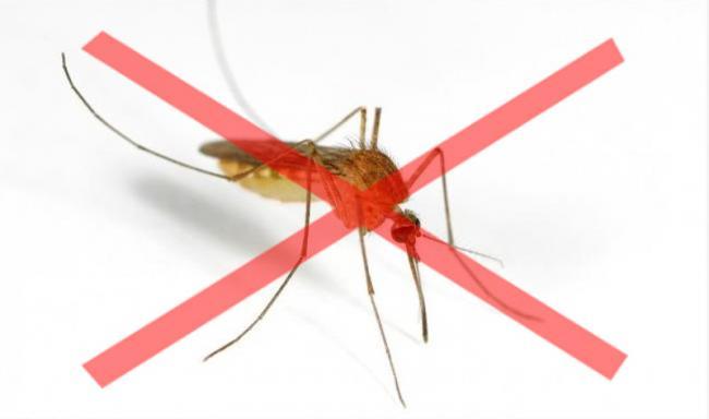 Adulticidno tretiranje komaraca