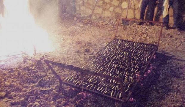 Zlarinska srdelada 2015 Zlarinska srdelada 2015