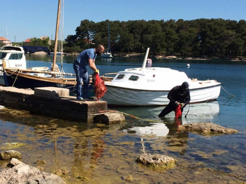 Ovu subotu čisti se podmorje Grebaštice i kopneni pojas Krapnja i Žirja 