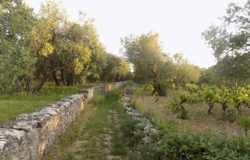 Grad Šibenik prijavio projekt valorizacije Morinjskog zaljeva