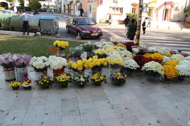 Obilježavanje blagdana Svih svetih u Šibeniku