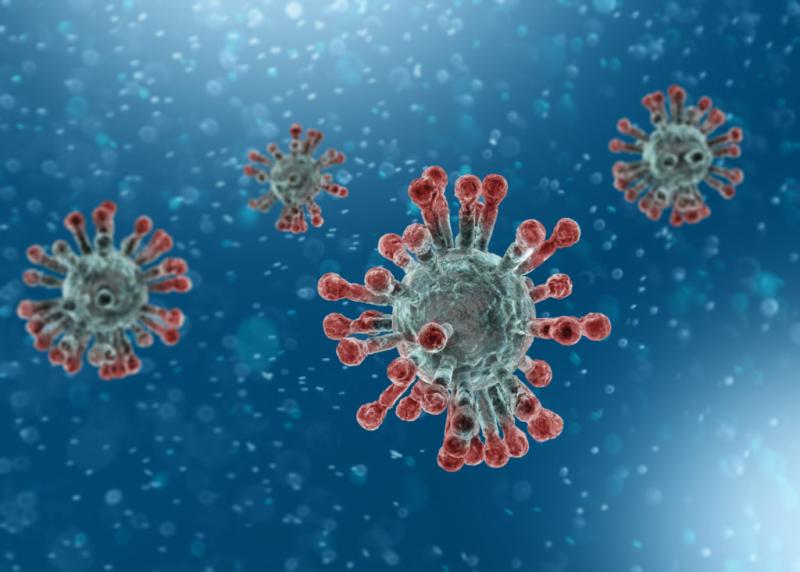 Organizacija rada Centra za pružanje usluga u zajednici Grada Šibenika tijekom epidemije koronavirusa
