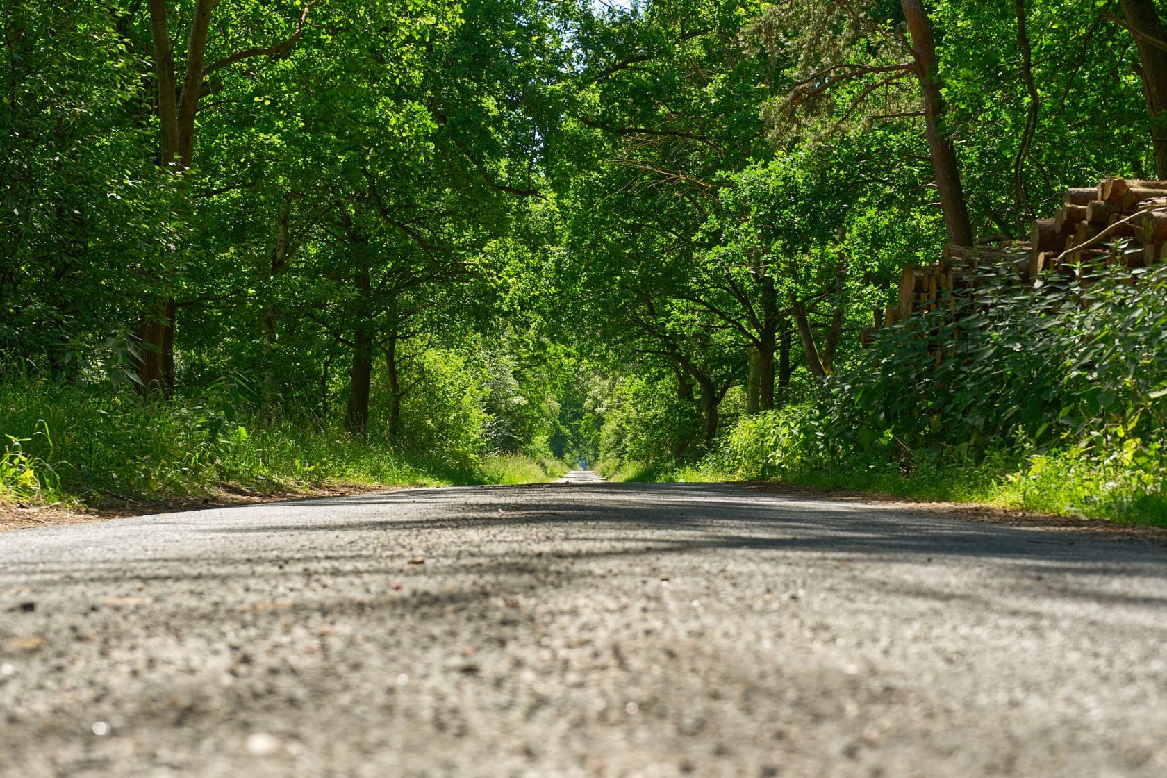 Objavljen Javni poziv za financiranje održavanja šumskih cesta u vlasništvu malih šumoposjednika 
