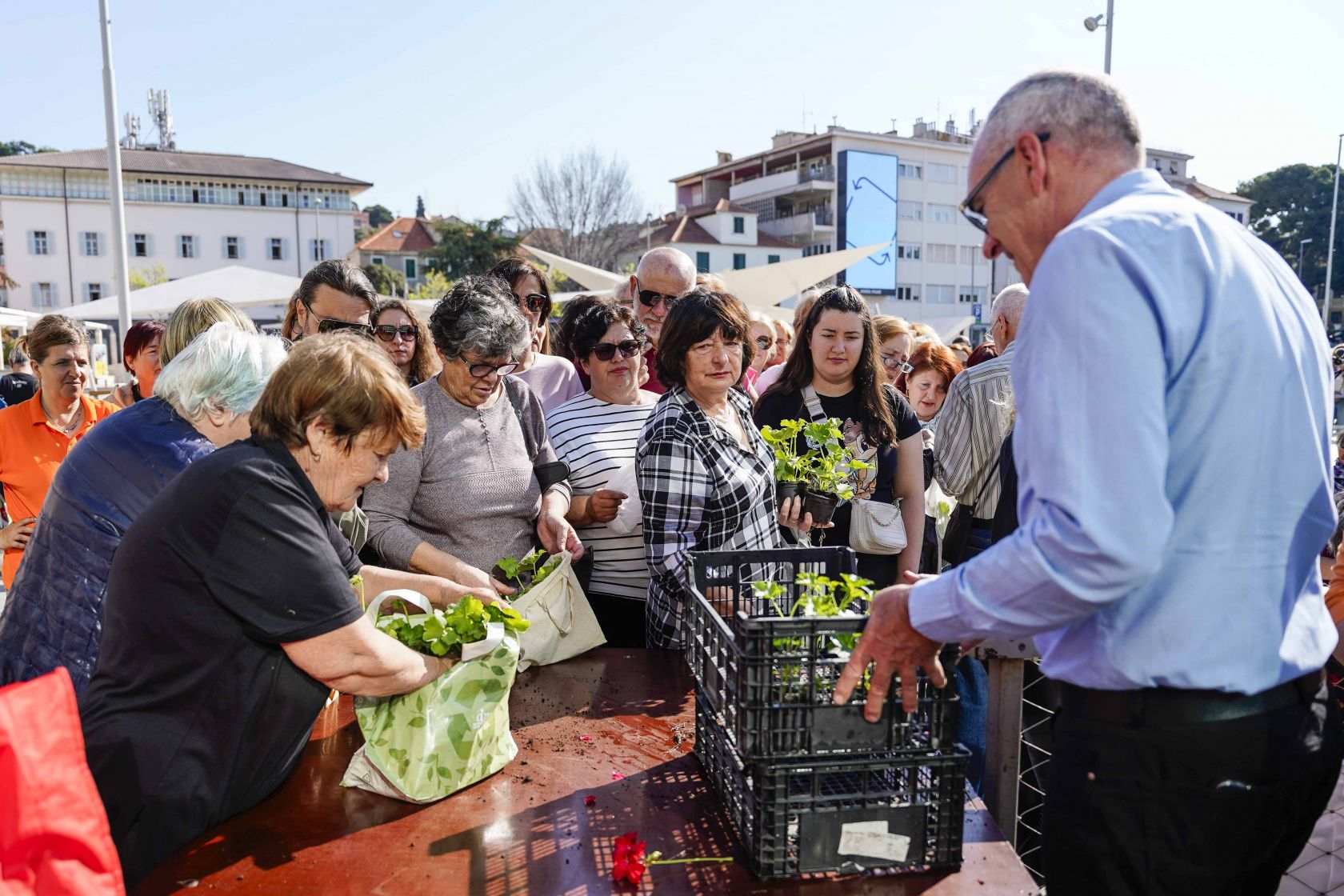 Na Poljani podijeljeno dvije tisuće sadnica sezonskog cvijeća