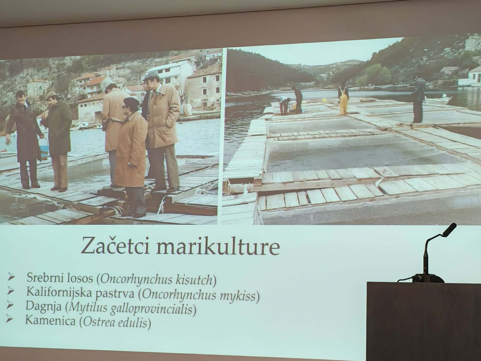 Martinska – 45 godina u službi mora i znanosti