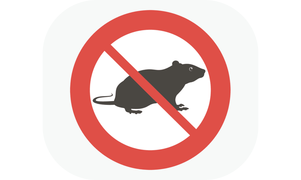 Proljetna preventivna deratizacija